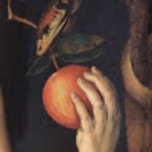 Meet your Posher, Nico